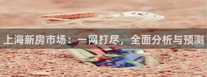 摩登7网彩正规吗：上海新房市场：一网打尽，全面分析与预测