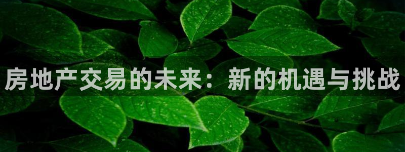 摩登7代理382223：房地产交易的未来：新的机遇与挑战