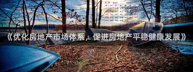 摩登7注册清333OO：《优化房地产市场体系，促进房地产平稳