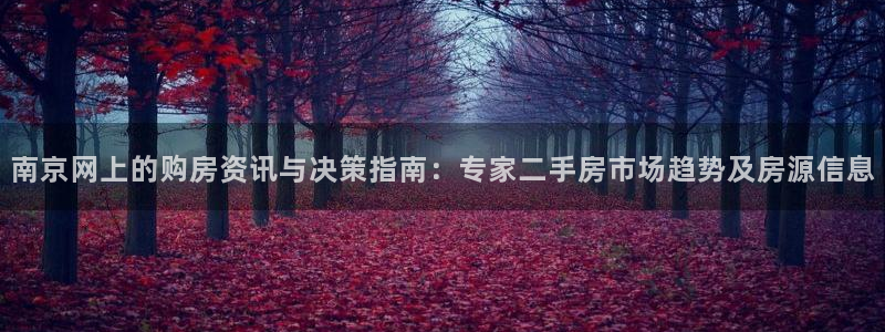 摩登7是什么：南京网上的购房资讯与决策指南：专家二手房市场趋