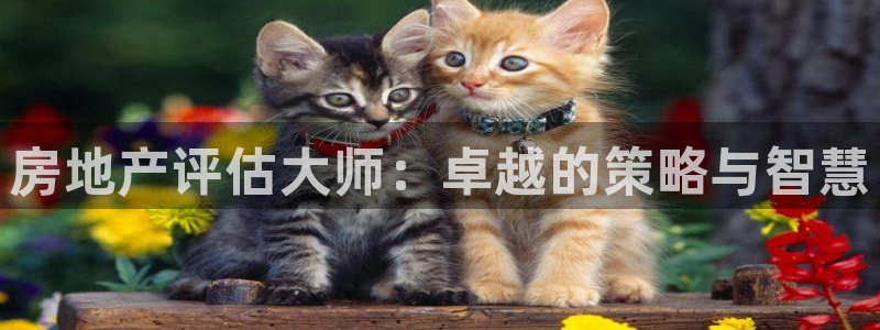 摩登招商7佳22650：房地产评估大师：卓越的策略与智慧