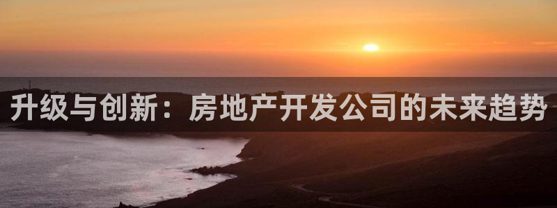 摩登天空7：升级与创新：房地产开发公司的未来趋势