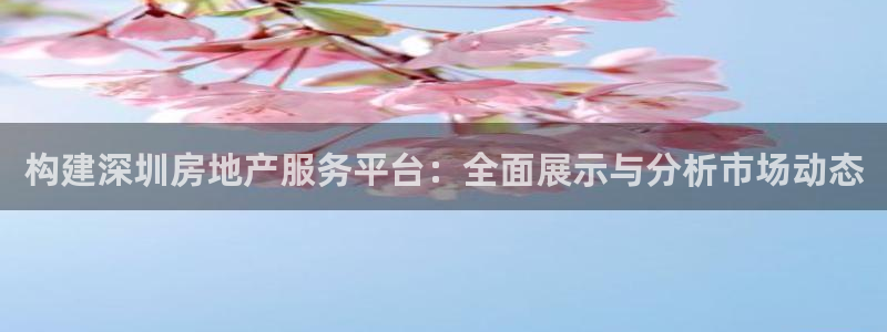 摩登7登录入口：构建深圳房地产服务平台：全面展示与分析市场动
