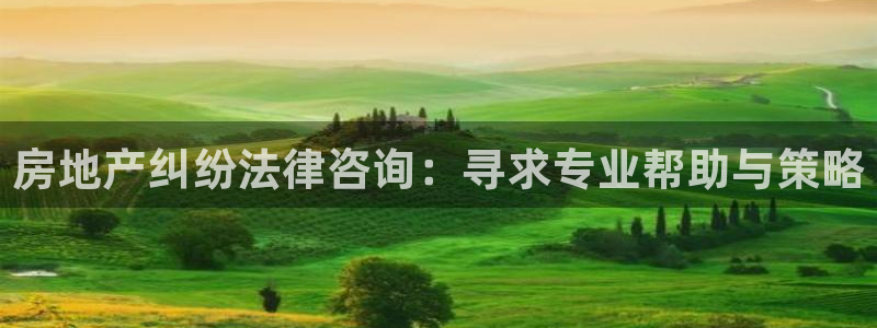 摩登7怎么联系客服：房地产纠纷法律咨询：寻求专业帮助与策略